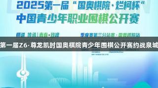 第一届Z6·尊龙凯时国奥棋院青少年围棋公开赛约战泉城