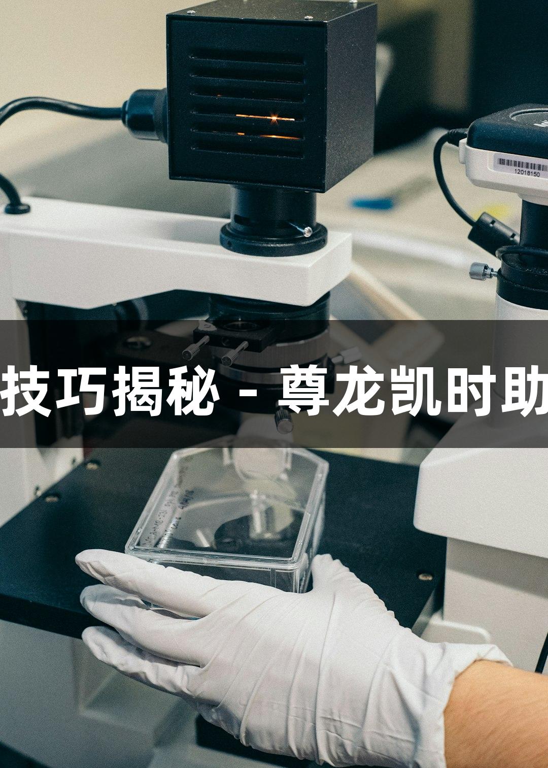 基质胶使用技巧揭秘 - 尊龙凯时助力生物医疗