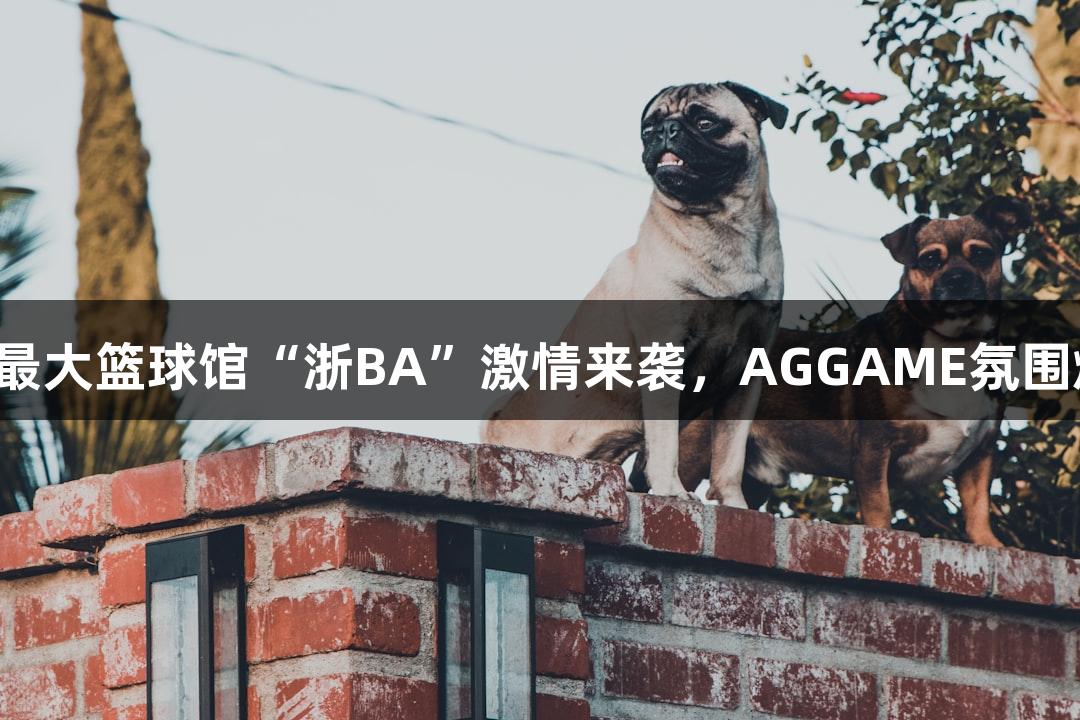 全省最大篮球馆“浙BA”激情来袭，AGGAME氛围燃爆！