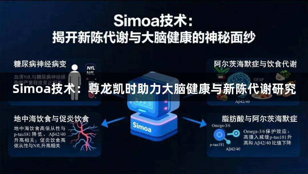 Simoa技术：尊龙凯时助力大脑健康与新陈代谢研究