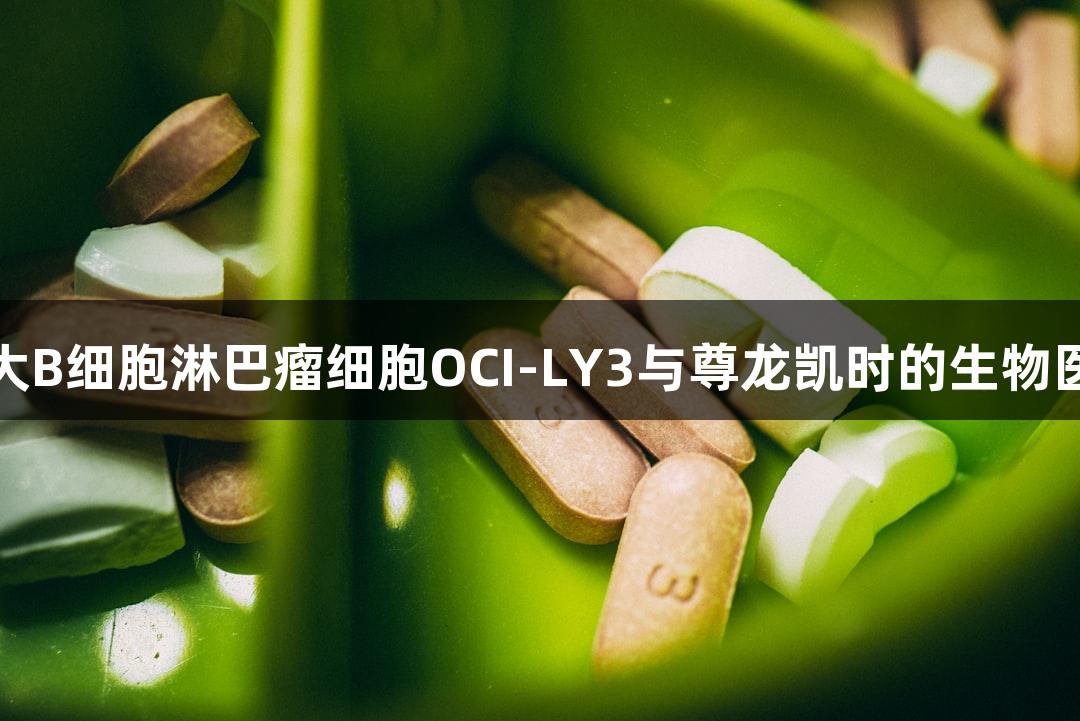 人弥漫大B细胞淋巴瘤细胞OCI-LY3与尊龙凯时的生物医疗研究