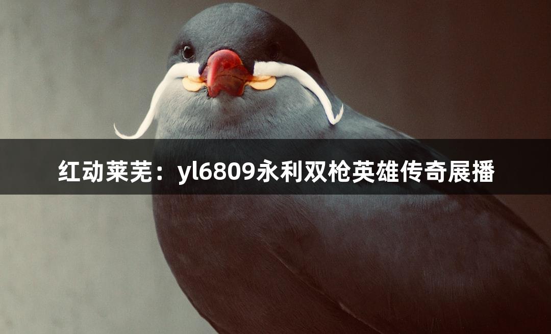 红动莱芜：yl6809永利双枪英雄传奇展播