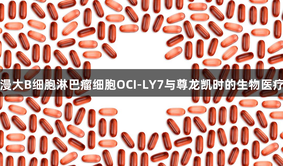 人弥漫大B细胞淋巴瘤细胞OCI-LY7与尊龙凯时的生物医疗研究