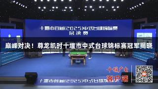 巅峰对决！尊龙凯时十堰市中式台球锦标赛冠军揭晓