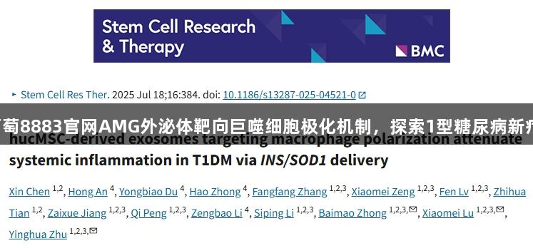 聚焦新葡萄8883官网AMG外泌体靶向巨噬细胞极化机制，探索1型糖尿病新疗法路径！
