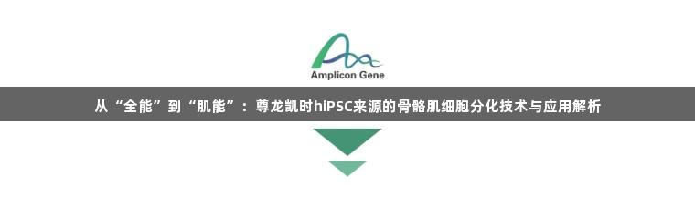 从“全能”到“肌能”：尊龙凯时hiPSC来源的骨骼肌细胞分化技术与应用解析