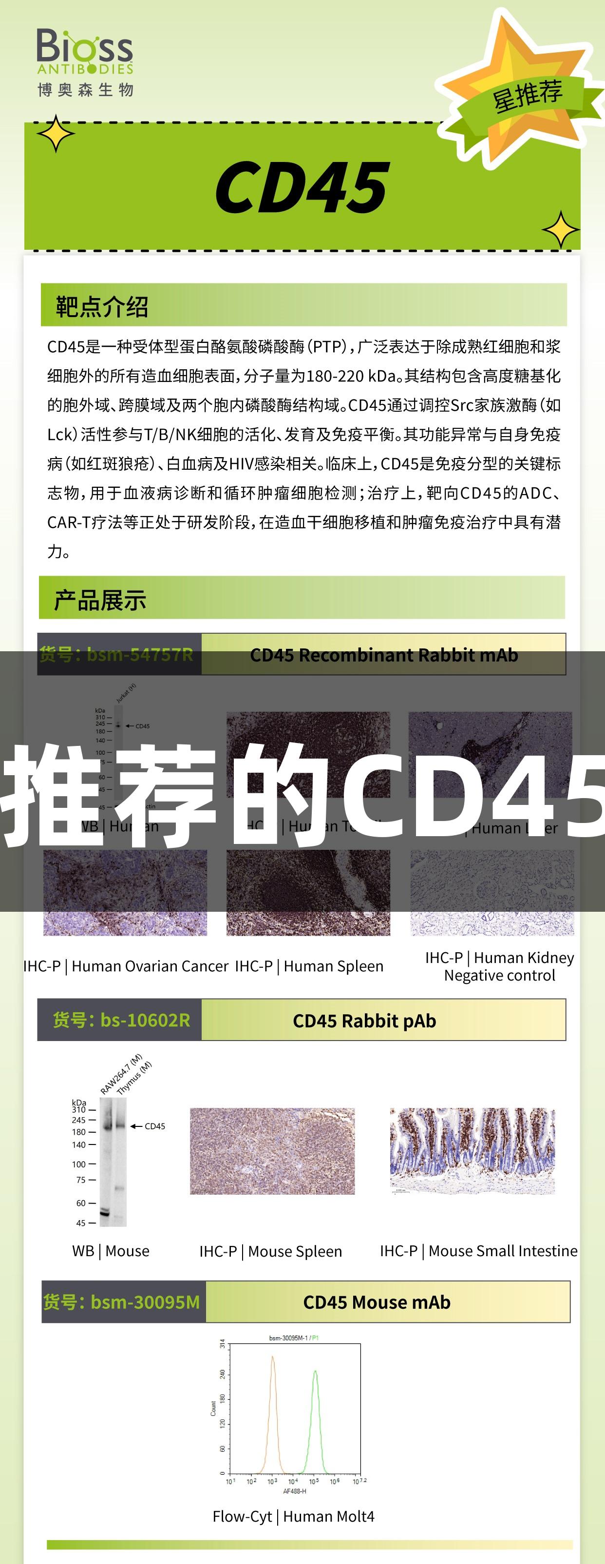 尊龙凯时推荐的CD45抗体产品