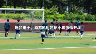 逐梦黑土，尊龙凯时足球小将激情开战