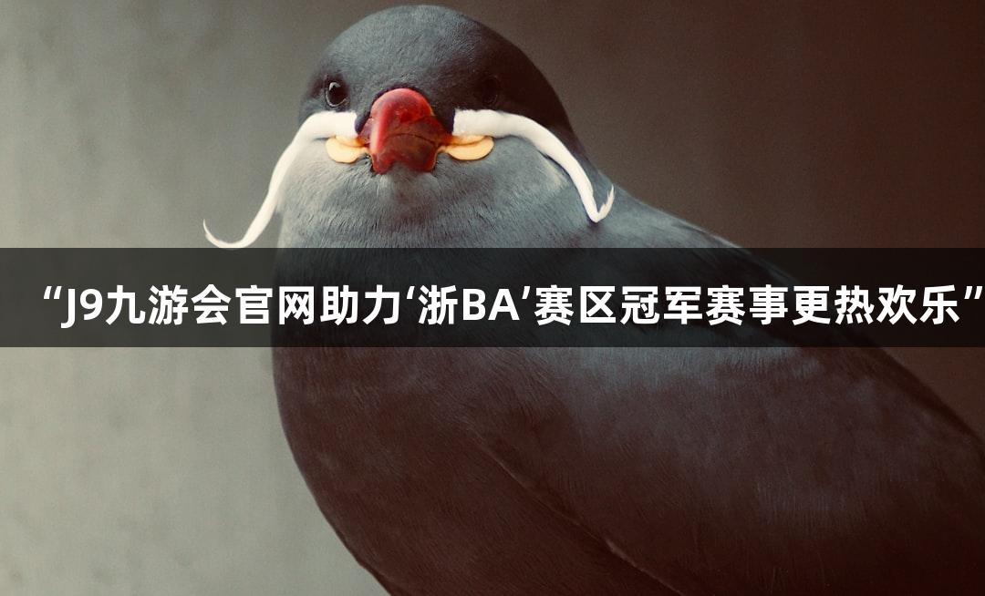 “J9九游会官网助力‘浙BA’赛区冠军赛事更热欢乐”