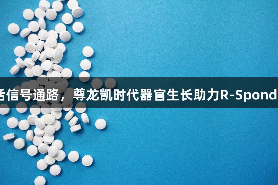激活信号通路，尊龙凯时代器官生长助力R-Spondin 1