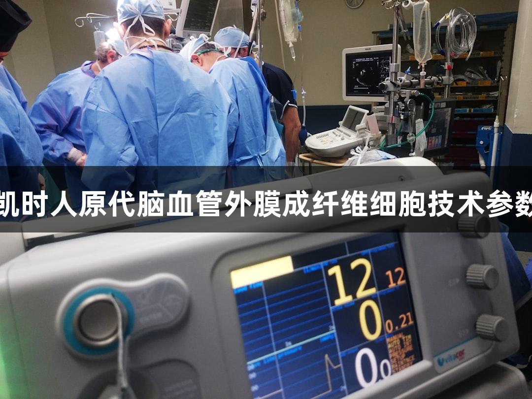 尊龙凯时人原代脑血管外膜成纤维细胞技术参数探究