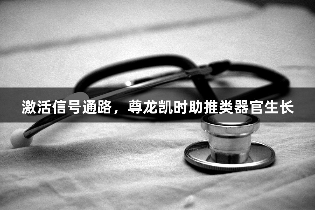 激活信号通路，尊龙凯时助推类器官生长