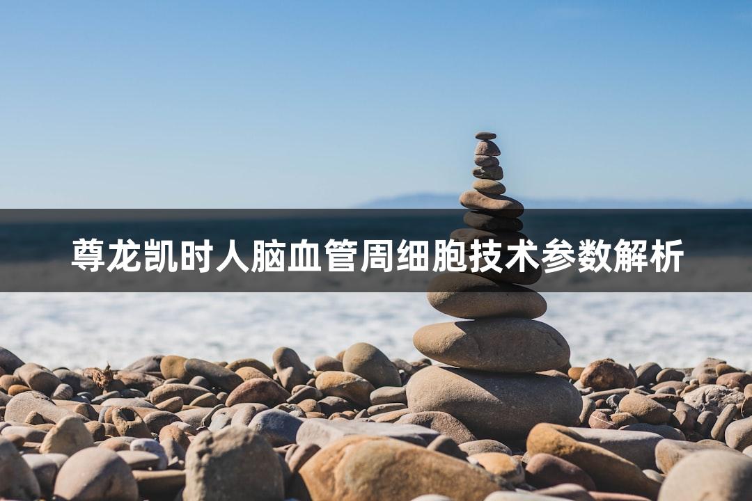 尊龙凯时人脑血管周细胞技术参数解析