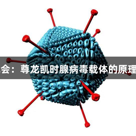每周凯会：尊龙凯时腺病毒载体的原理与应用