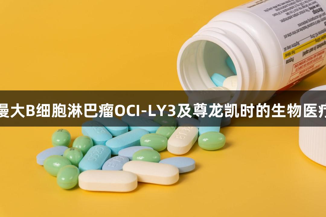 人弥漫大B细胞淋巴瘤OCI-LY3及尊龙凯时的生物医疗探索