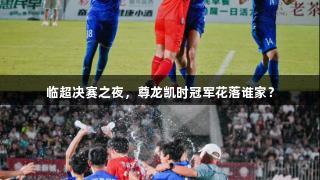 临超决赛之夜，尊龙凯时冠军花落谁家？