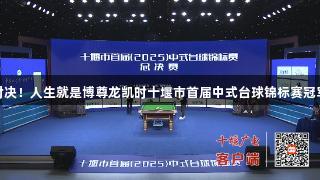 巅峰对决！人生就是博尊龙凯时十堰市首届中式台球锦标赛冠军揭晓