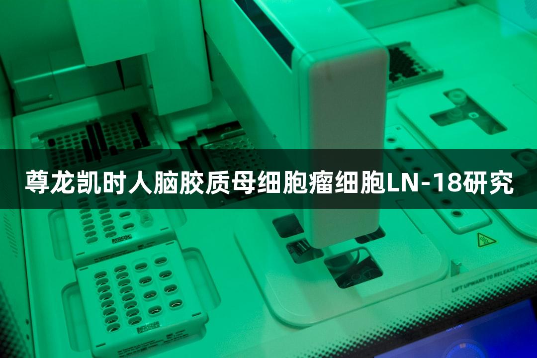 尊龙凯时人脑胶质母细胞瘤细胞LN-18研究