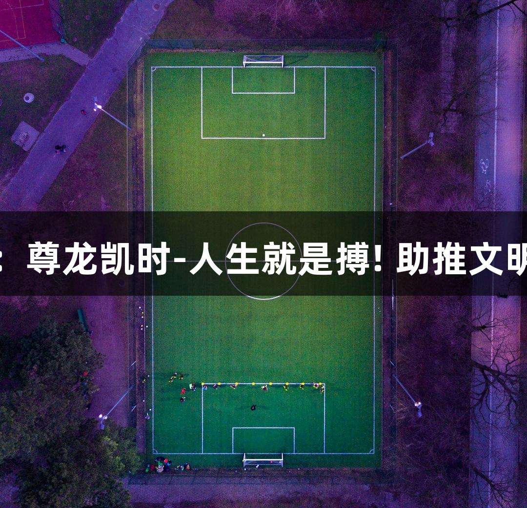 东湖评论：尊龙凯时-人生就是搏! 助推文明观赛自觉