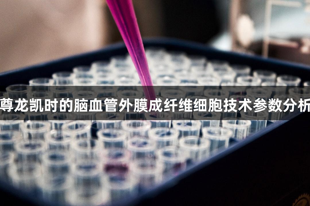 尊龙凯时的脑血管外膜成纤维细胞技术参数分析