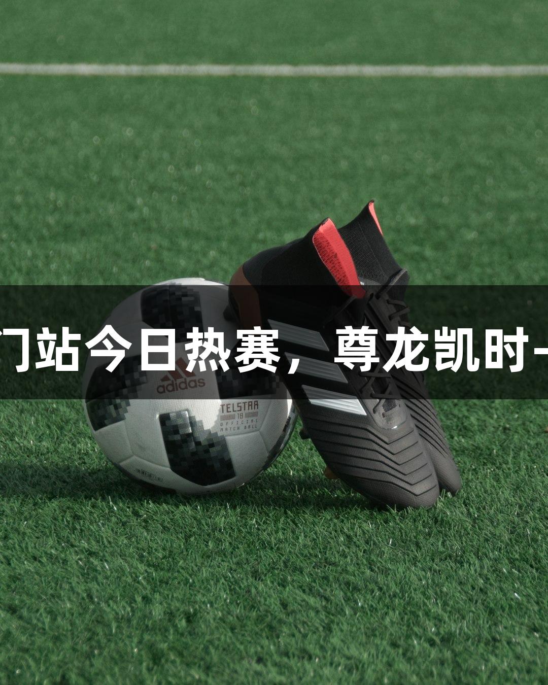 乒超联赛厦门站今日热赛，尊龙凯时-人生就是搏!
