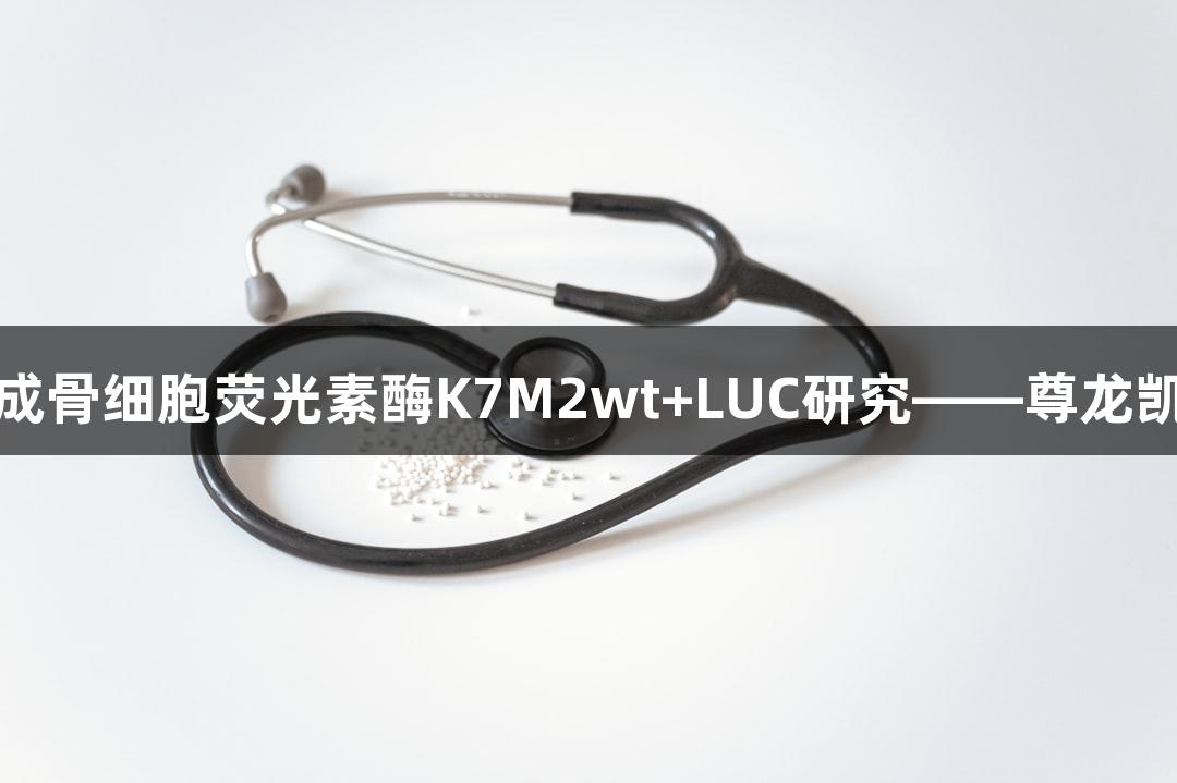 小鼠骨肉瘤成骨细胞荧光素酶K7M2wt+LUC研究——尊龙凯时先锋探索