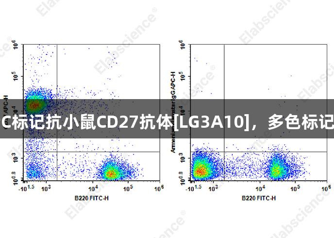 尊龙凯时推出新款APC标记抗小鼠CD27抗体[LG3A10]，多色标记兼容，提升实验效率！