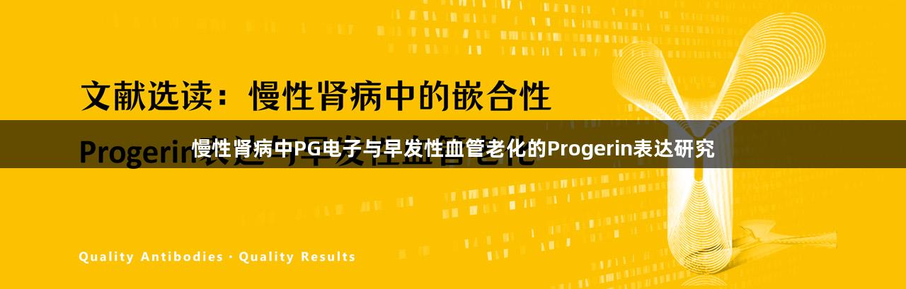 慢性肾病中PG电子与早发性血管老化的Progerin表达研究