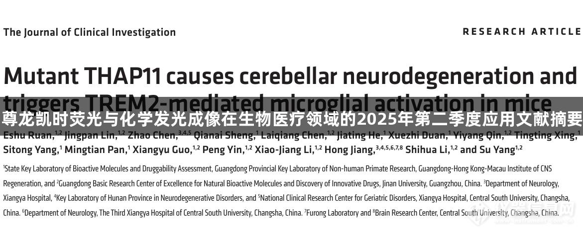 尊龙凯时荧光与化学发光成像在生物医疗领域的2025年第二季度应用文献摘要