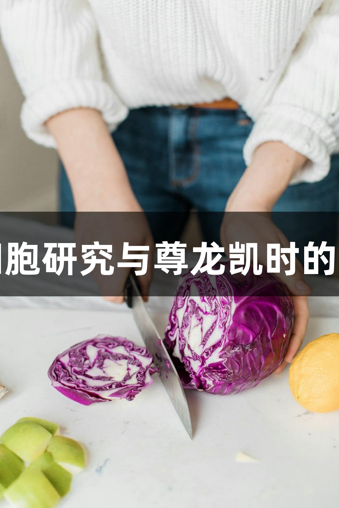 小鼠肺上皮细胞研究与尊龙凯时的生物医疗探索