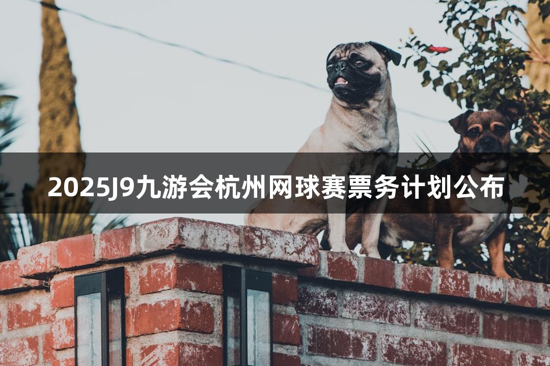 2025J9九游会杭州网球赛票务计划公布