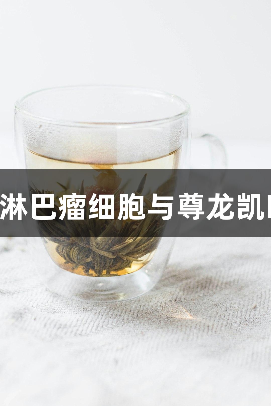 人弥漫性大B细胞淋巴瘤细胞与尊龙凯时的生物医疗探索