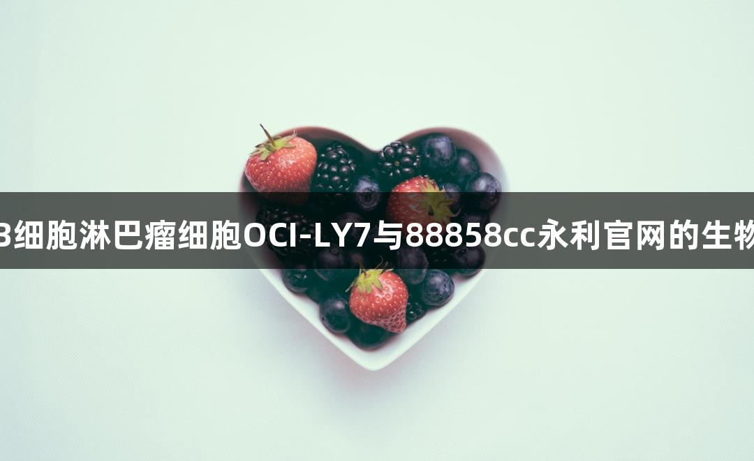 人弥漫大B细胞淋巴瘤细胞OCI-LY7与88858cc永利官网的生物医疗研究