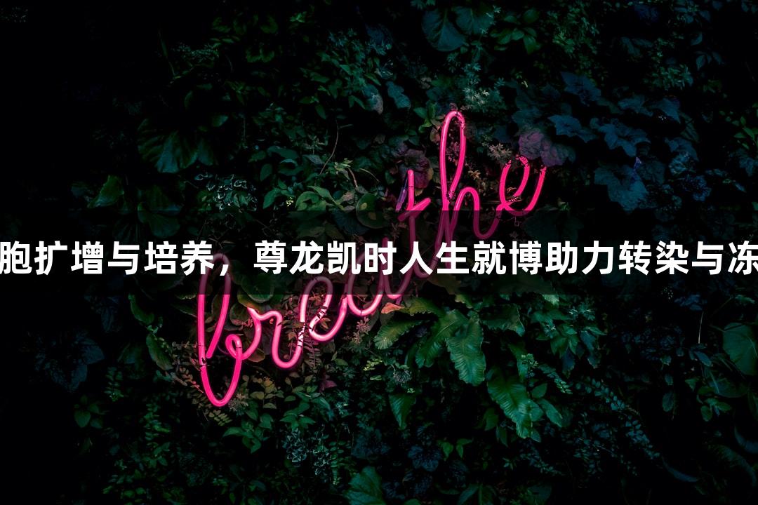 生殖细胞扩增与培养，尊龙凯时人生就博助力转染与冻存复苏
