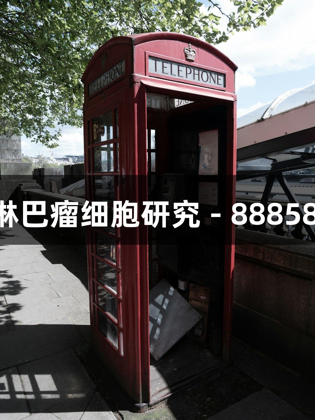 人弥漫大B淋巴瘤细胞研究 - 88858cc永利官网