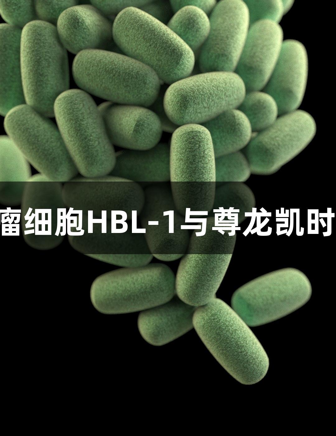 人弥漫大B淋巴瘤细胞HBL-1与尊龙凯时的生物医疗研究