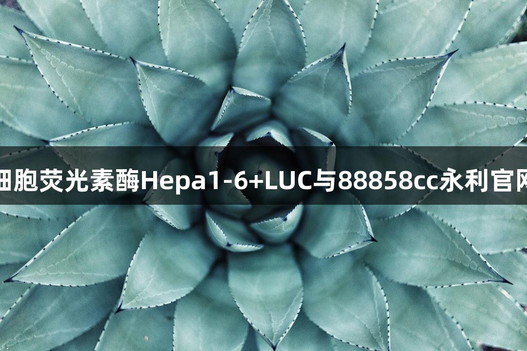 小鼠肝癌细胞荧光素酶Hepa1-6+LUC与88858cc永利官网合作研究
