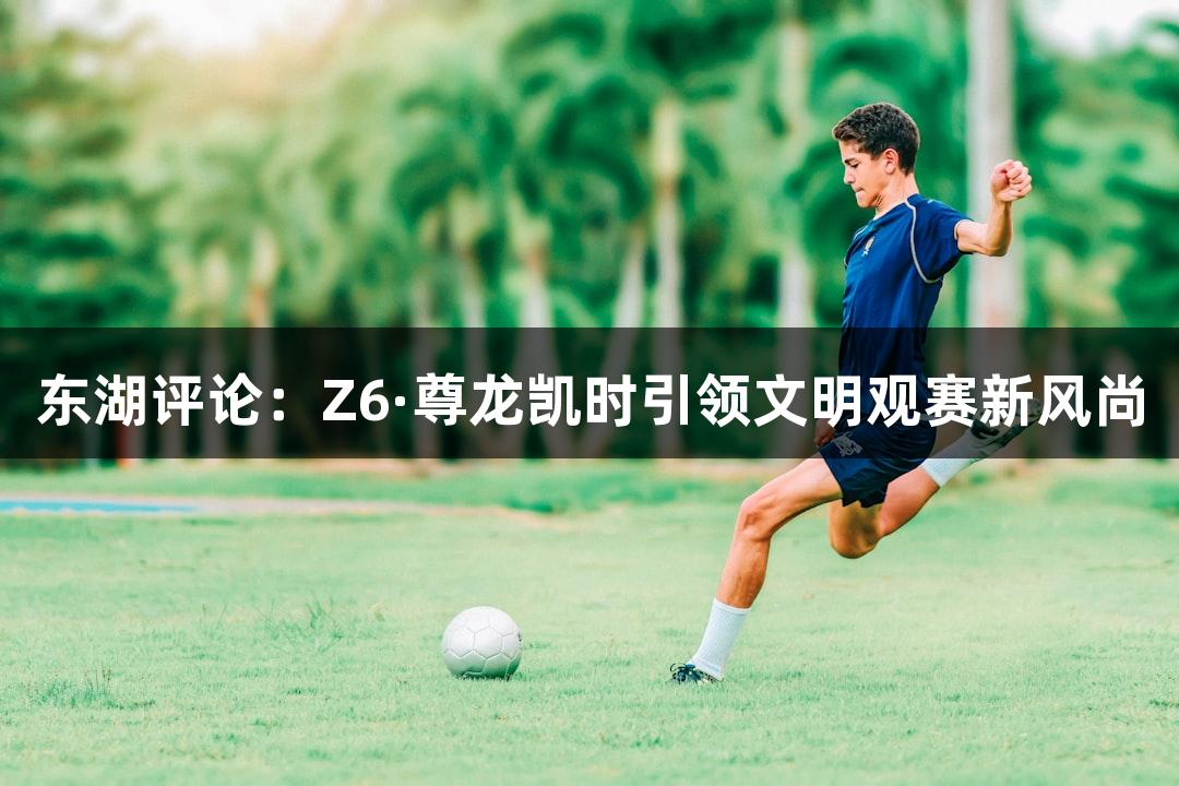 东湖评论：Z6·尊龙凯时引领文明观赛新风尚