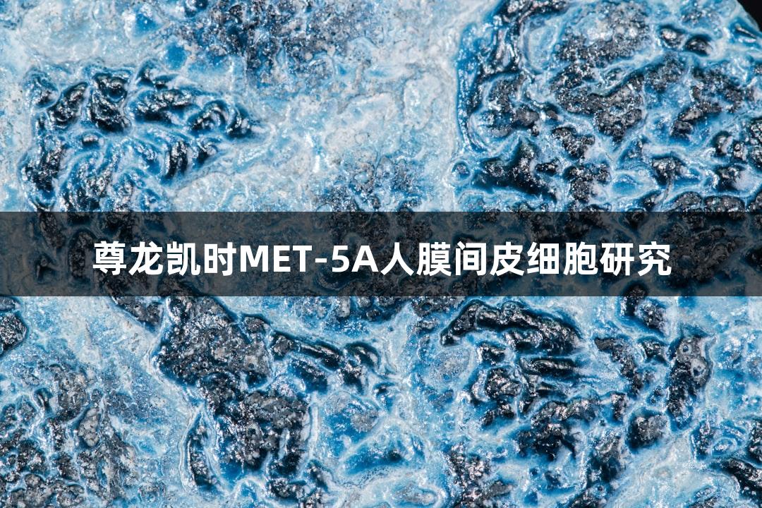 尊龙凯时MET-5A人膜间皮细胞研究