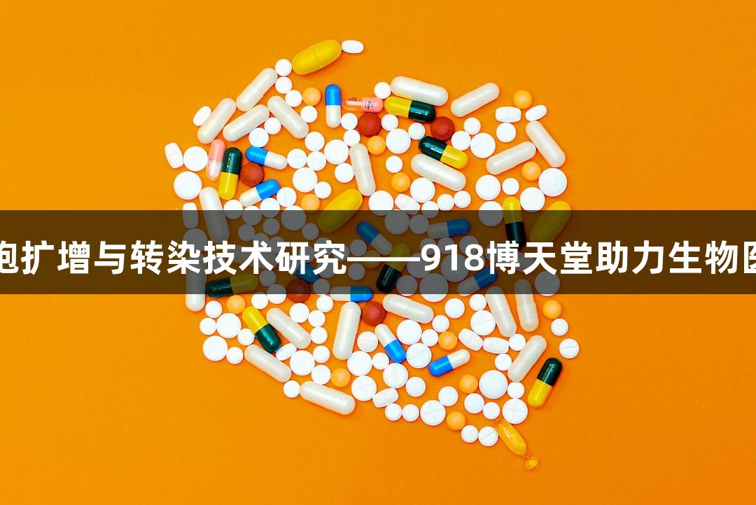 生殖细胞扩增与转染技术研究——918博天堂助力生物医疗创新