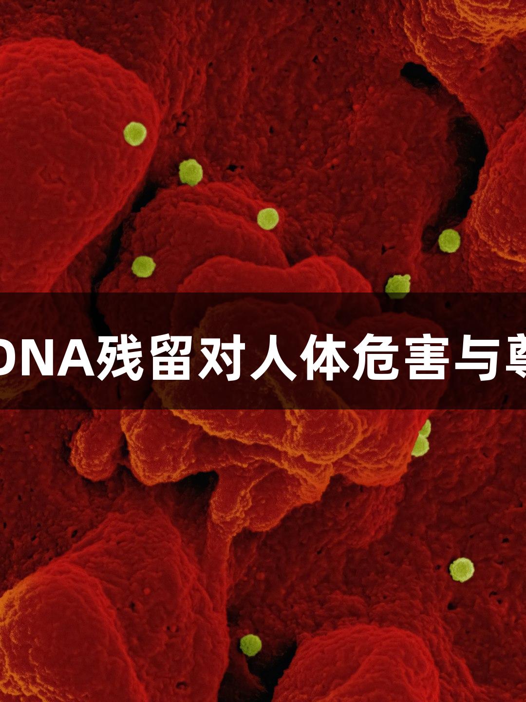 CHO宿主细胞DNA残留对人体危害与尊龙凯时的研究