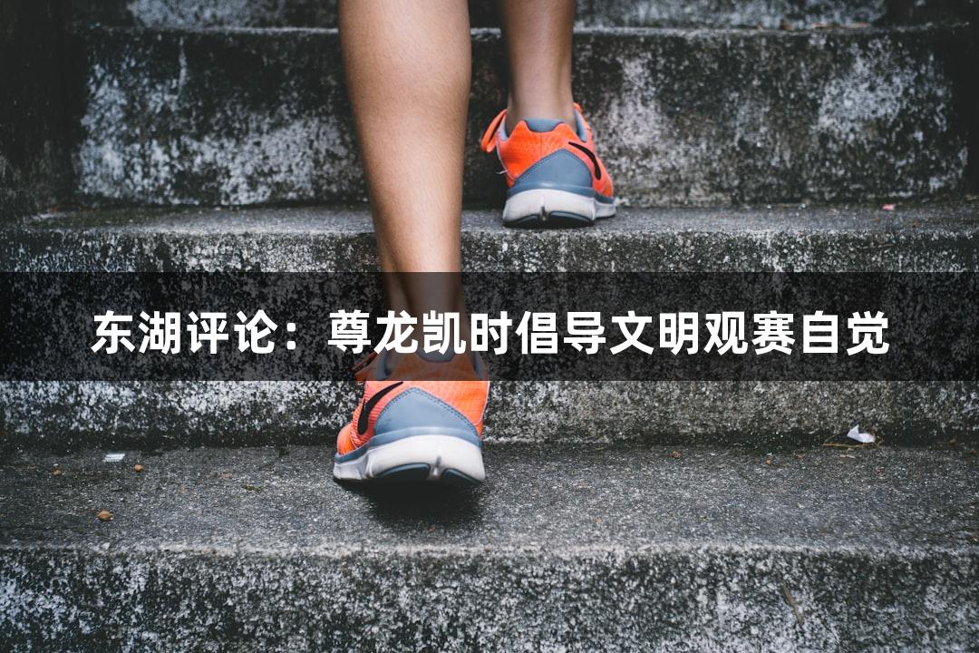 东湖评论：尊龙凯时倡导文明观赛自觉