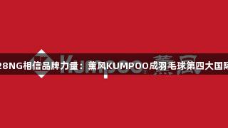 南宫28NG相信品牌力量：薰风KUMPOO成羽毛球第四大国际品牌