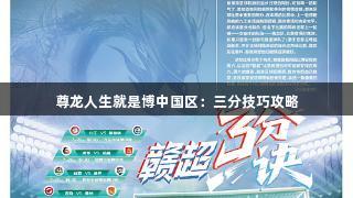 尊龙人生就是博中国区：三分技巧攻略