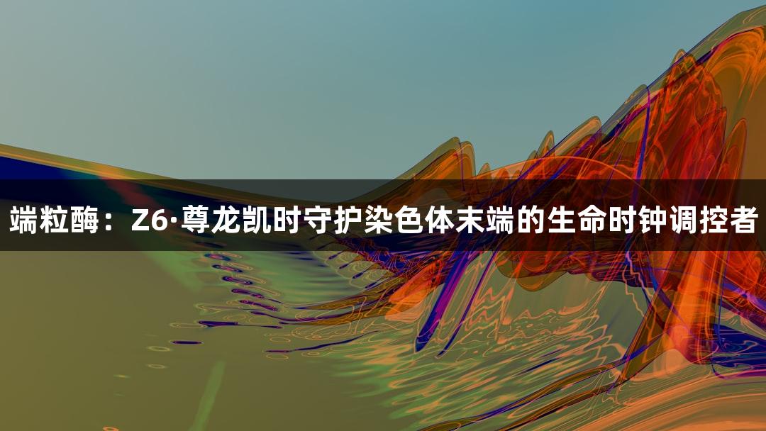 端粒酶：Z6·尊龙凯时守护染色体末端的生命时钟调控者