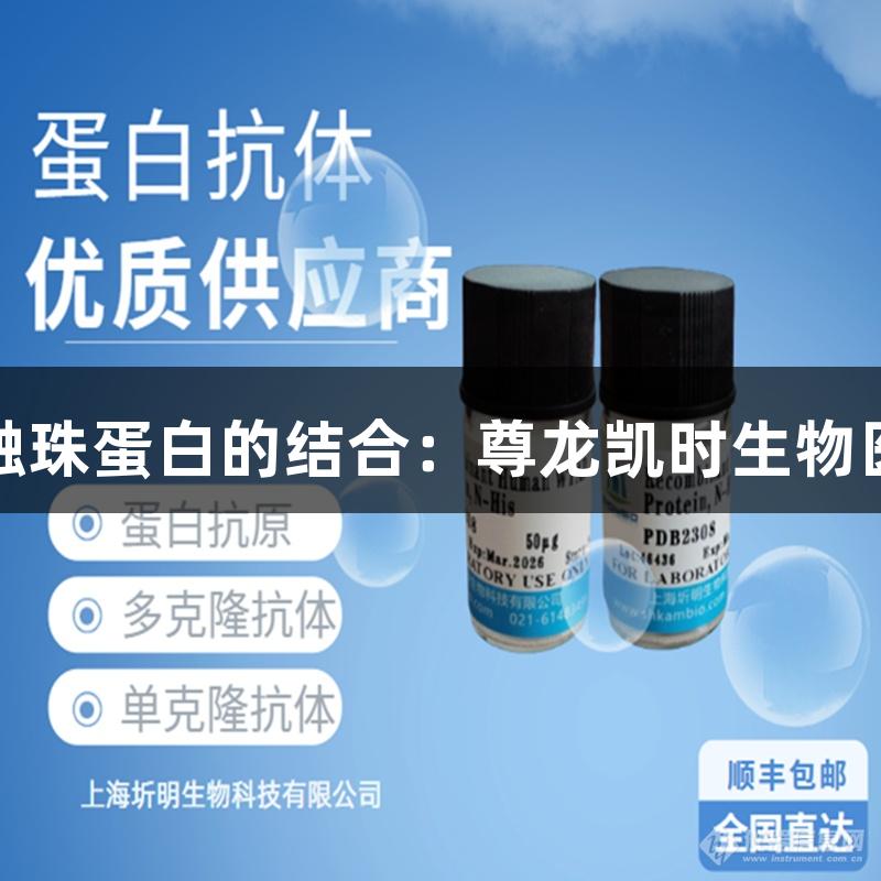 珠蛋白与触珠蛋白的结合：尊龙凯时生物医疗新进展