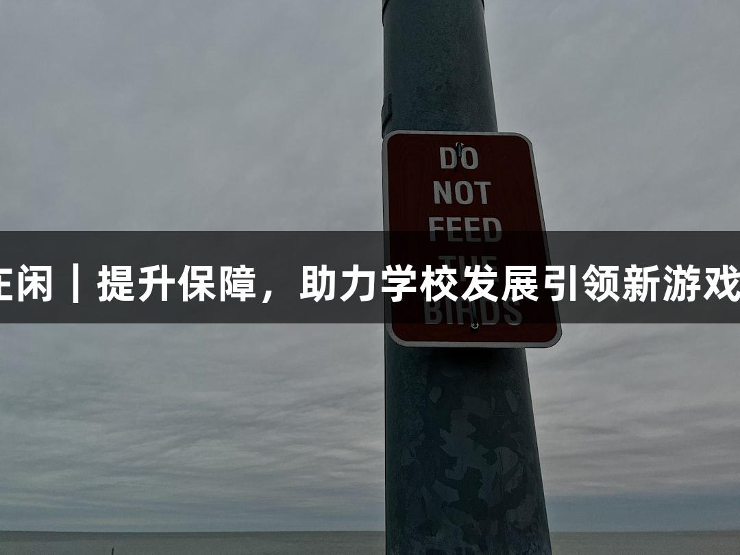 AG庄闲｜提升保障，助力学校发展引领新游戏体验
