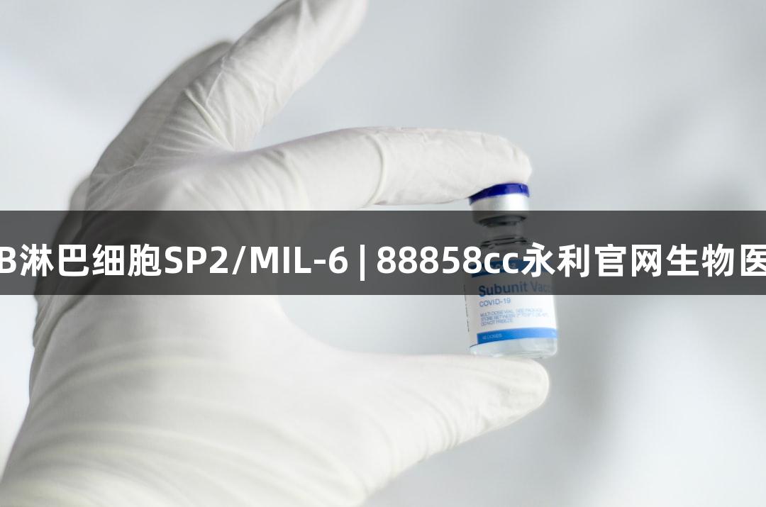 小鼠骨髓瘤B淋巴细胞SP2/MIL-6 | 88858cc永利官网生物医疗解决方案