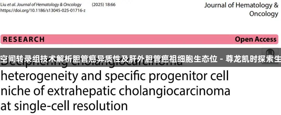 单细胞测序与空间转录组技术解析胆管癌异质性及肝外胆管癌祖细胞生态位 - 尊龙凯时探索生物医疗新境界