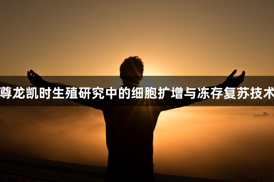 尊龙凯时生殖研究中的细胞扩增与冻存复苏技术